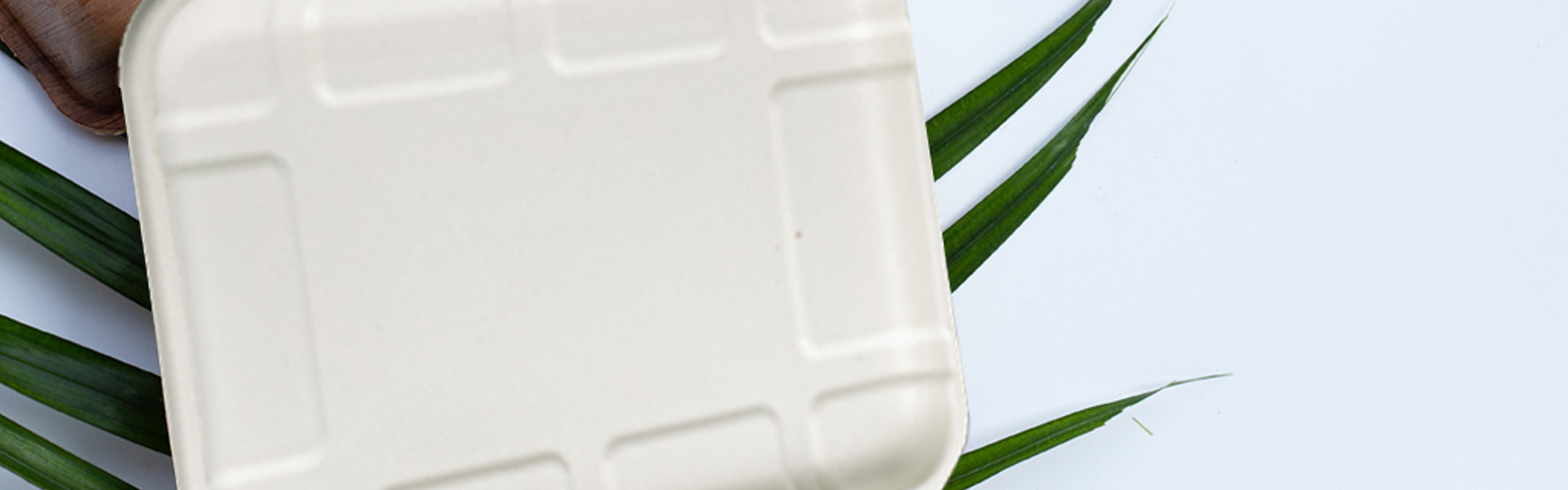 Ventajas de las charolas desechables de caña de azúcar frente a las de unicel en restaurantes de Saltillo