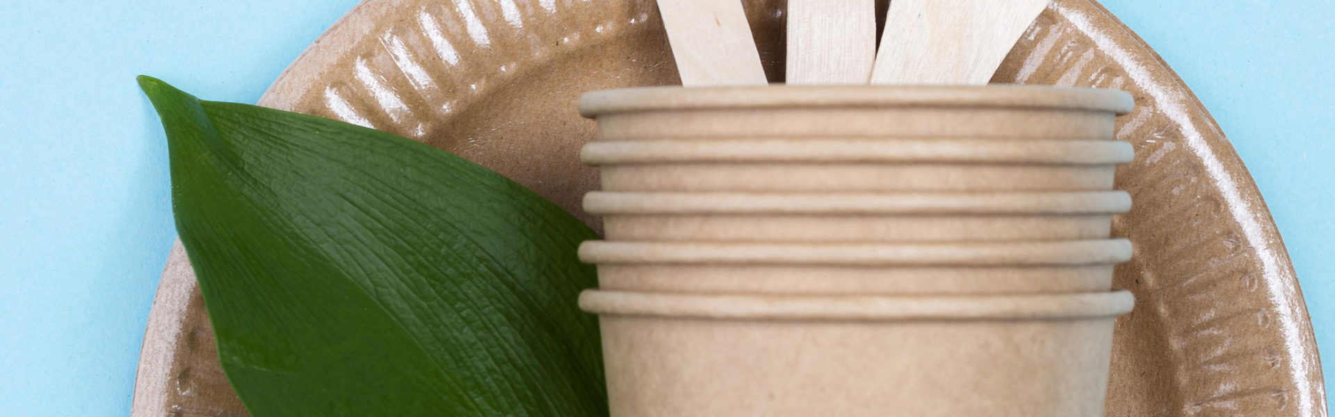 Cómo elegir el contenedor ideal para tus alimentos