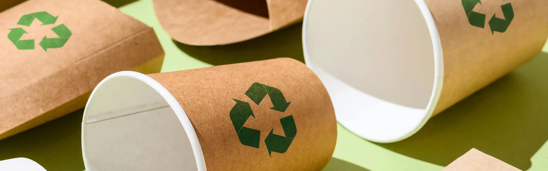 ¿A dónde van mis empaques? Guía de desecho responsable en Saltillo