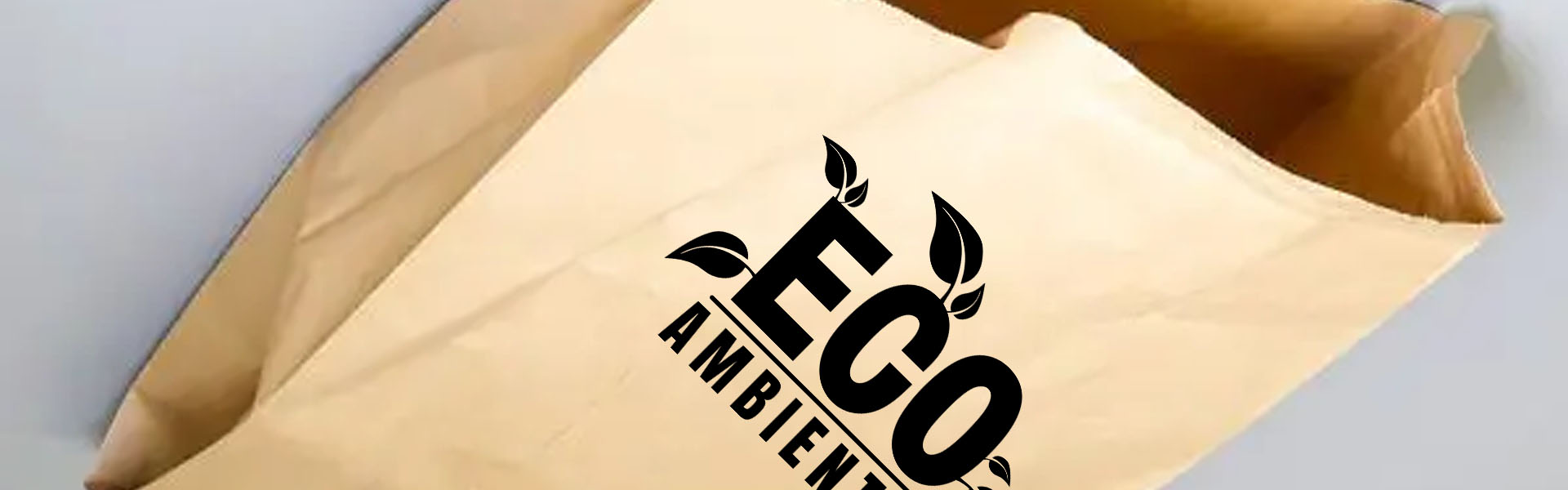 Bolsas de Papel Kraft Personalizadas en Saltillo: Impulsa la Imagen de tu Marca